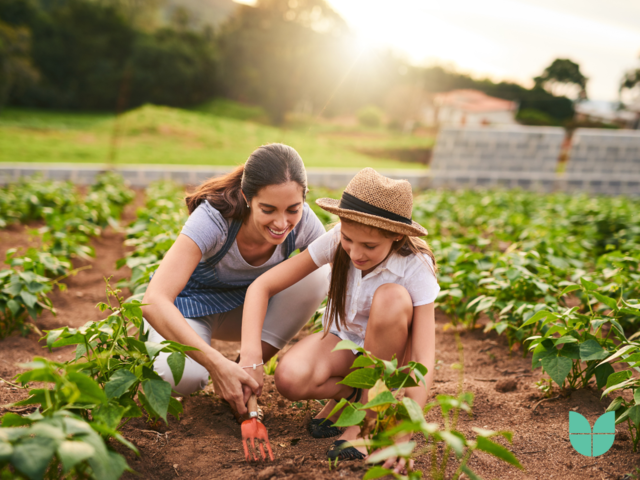 An image of an adult helping a child dig to plant vegetables or flowers.