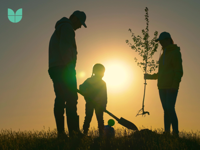 An image of two adults and a child planting a tree. 
