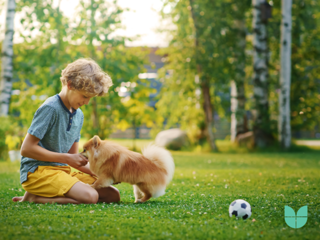 An image of a child playing with a dog in the garden. 