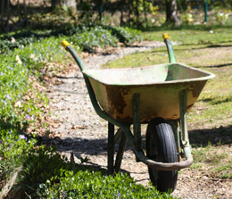 Essential Garden Tools (Part 2)